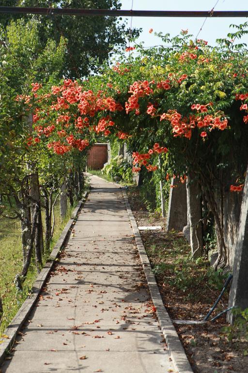 Muro Quinta De Santo Antonioヴィラ エクステリア 写真